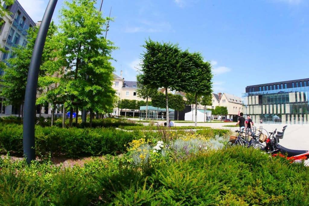 Chartres Coeur De Ville, Beau 2 Pieces Chaleureux Et Lumineux,Parking Et Wifi ! Eksteriør billede